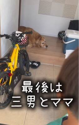 朝、家族全員の見送りをする大型犬→1人ずつテンションが下がって…今すぐ帰りたくなる『切ない光景』が175万再生「表情が愛おしい」と感動