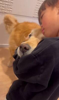 朝、家族全員の見送りをする大型犬→1人ずつテンションが下がって…今すぐ帰りたくなる『切ない光景』が175万再生「表情が愛おしい」と感動