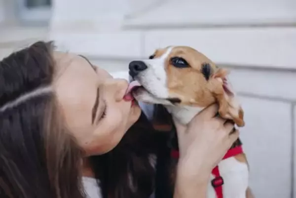 犬から人にうつる『人獣共通感染症』4つ　重症化を防ぐために気をつけるべきこととは？