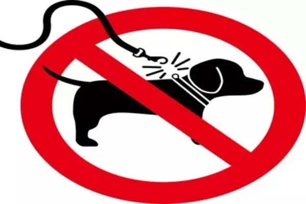 犬のノーリード散歩の危険性とマナーとは？愛犬の安全に守るために必要なこと