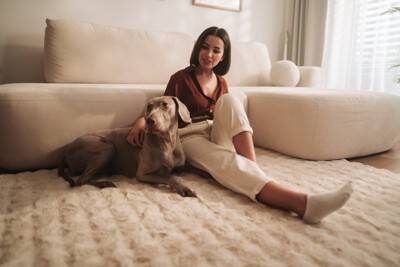 『怒りっぽい犬』の特徴５選　すぐに激怒してしまう要因や改善するために飼い主ができることまで