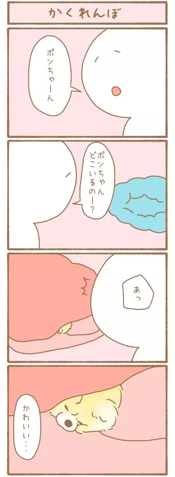 ただの犬好きです。【第343話】「かくれんぼ」