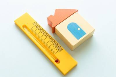 犬が『耐えられる寒さ』とは？冬場の室温は何度に保てばいいの？設定する際の温度まで