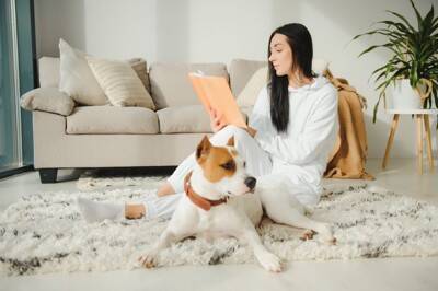 犬が『耐えられる寒さ』とは？冬場の室温は何度に保てばいいの？設定する際の温度まで