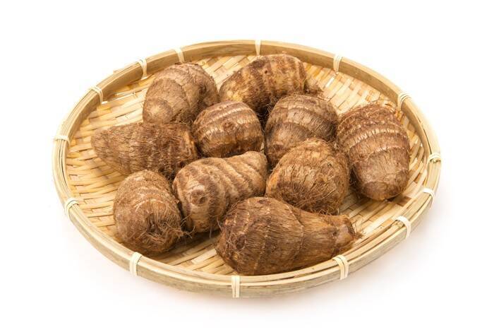 【獣医師監修】犬は里芋を食べても大丈夫？適量と注意点、生がNGな理由と安全な与え方