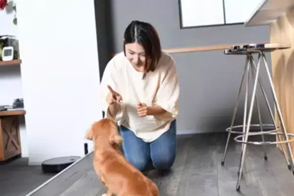犬が反応しやすい『ワード』4選　愛犬は飼い主の言葉を理解しているの？ポジティブな意味で記憶させる方法とは