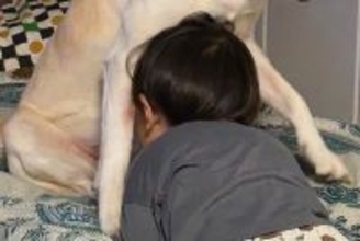 お母さんに叱られた男の子→保護犬に『助けて』と駆け寄って…家族愛を感じる『尊い光景』に1万いいね集まる「もうひとりの親」「めっちゃ人間」