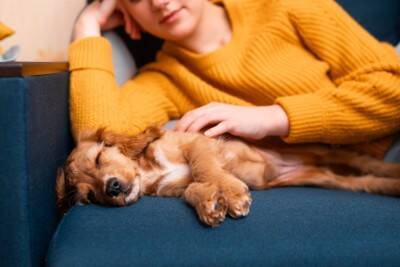 犬が安心する『飼い主の身体の場所』4選　愛犬が寄り添ってきたときに飼い主がすべき対応まで