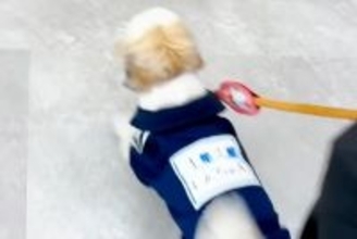 SNSで犬を投稿していたら、まさかの『初めてトリミングをしてくれたお姉さん』から連絡がきて…『感動の再会』に反響「涙出た」「素敵な話」