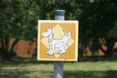 犬が人に『おしっこ』をかける理由3つ　やめさせたい場合の適切なしつけ方法とは？