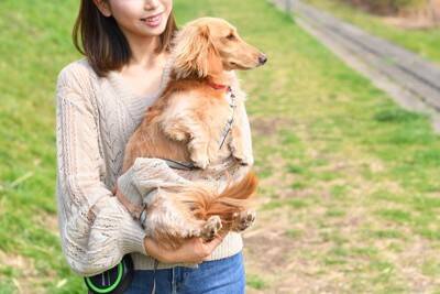 犬が『抱っこから落下』したときにすべき行動3つ　ケガの危険性や異変を感じたときの対処法