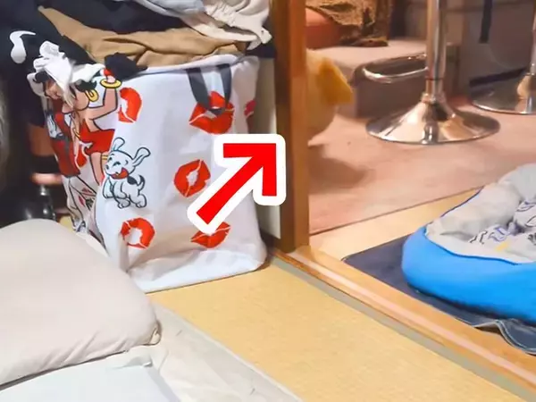 夜、犬に『ねんねするよー』と言った結果→ぬいぐるみを持ってきて…あまりに可愛い行動が114万再生「どっちがどっちかｗｗ」「同じサイズｗ」