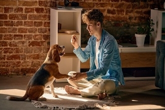 犬は『人の言葉』をどうやって覚えているの？どの程度理解している？愛犬と心を通わせる方法まで