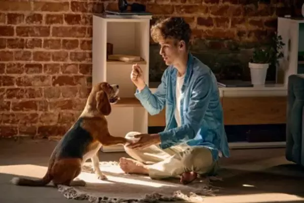 犬は『人の言葉』をどうやって覚えているの？どの程度理解している？愛犬と心を通わせる方法まで