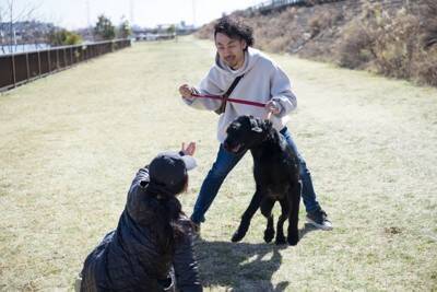 犬を散歩中『目を離してはいけない』理由４選　起こり得るトラブルやリスクまで