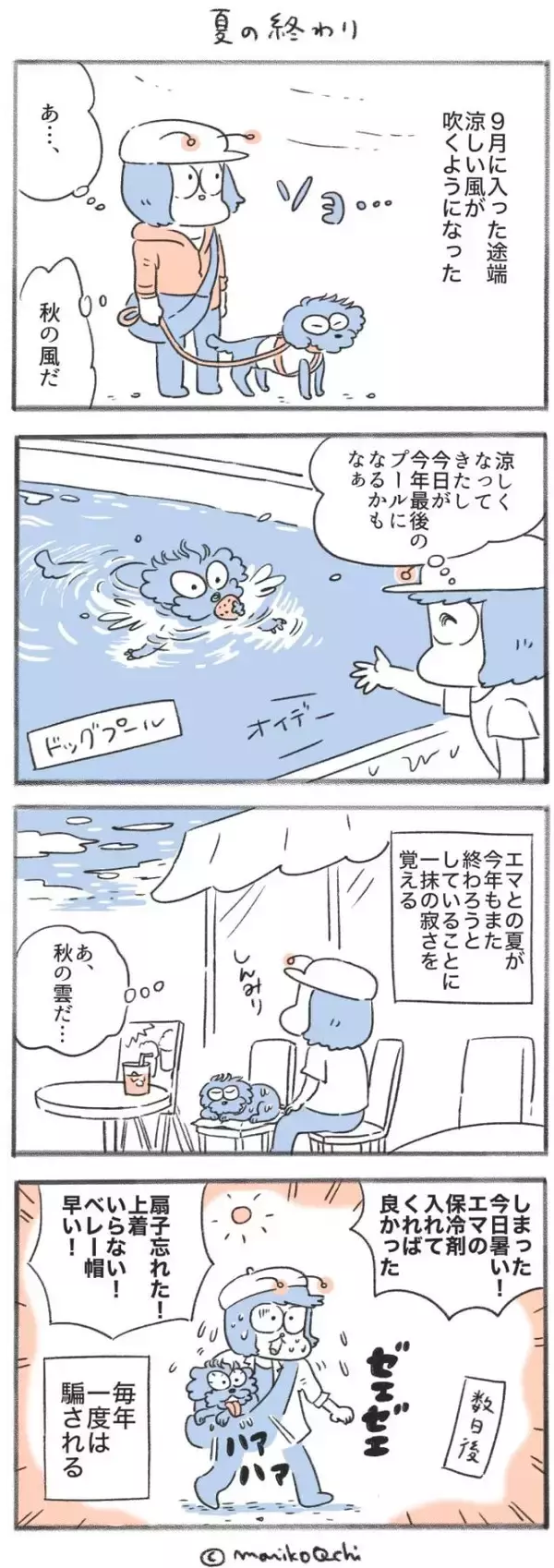 犬と暮らせば【第559話】「夏の終わり」