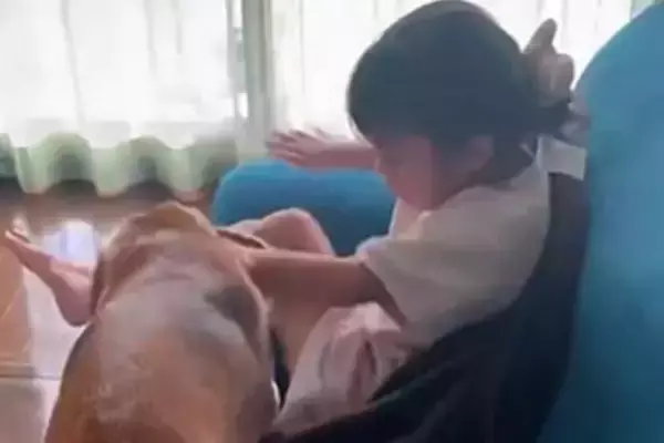 海外に行くため『犬を実家に預けた』結果→『寂しがってしまうかな』と心配していたら…『想像と違いすぎる光景』に反響「イキイキｗ」「楽しそう」