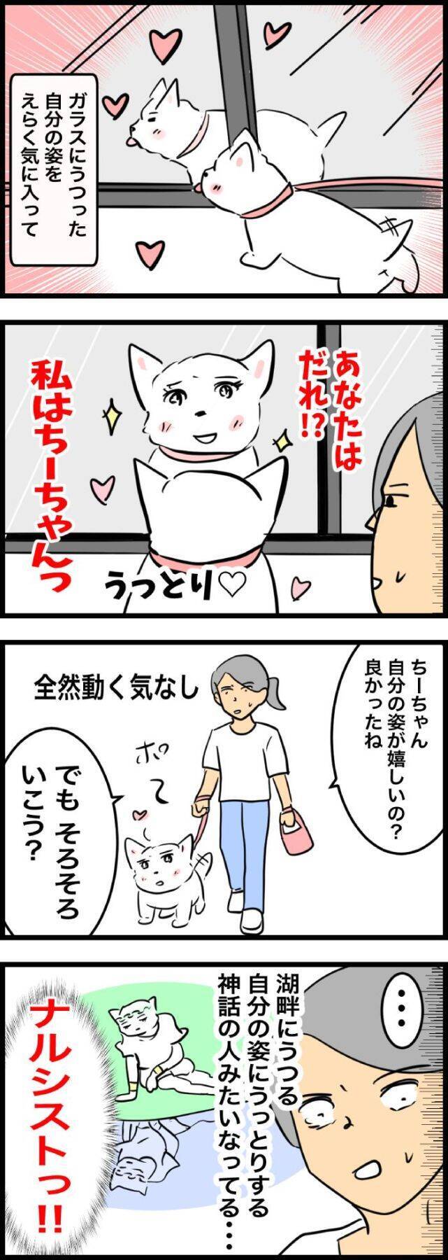 ちーちゃんですけどもっ【第329話】「神話みたいなちーちゃん」
