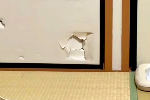 押入れの戸を破壊した犬→『うそでしょー』と思っていたら、穴から…『怒るに怒れない光景』に爆笑「卵から生まれた感ｗｗ」「え、かわいい」