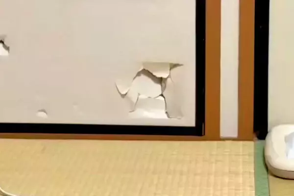 押入れの戸を破壊した犬→『うそでしょー』と思っていたら、穴から…『怒るに怒れない光景』に爆笑「卵から生まれた感ｗｗ」「え、かわいい」