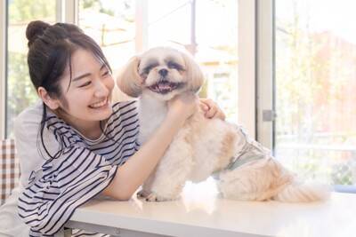 『トリミングサロン』で断られてしまう犬の特徴7選　トリマーに拒否される理由や知っておくべきことまで