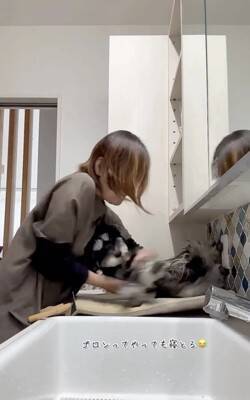 お散歩後に犬の体を洗っていたら、眠たすぎて…大変すぎる『まさかの光景』が13万再生「すべてを委ねてるｗ」「参考になった」称賛の声も