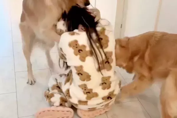 大型犬2匹が大暴れしている中、女性が間に入った結果→『遊びに来た』と勘違いして…むちゃくちゃにされる光景に爆笑「激しすぎる愛ｗ」「最高」