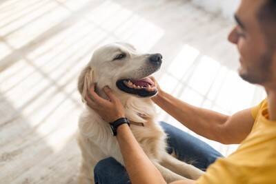 『犬が大好きな人』の特徴５選　主な共通点や犬好きしかみせないあるある行動までご紹介