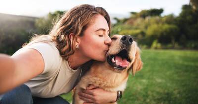 『犬が大好きな人』の特徴５選　主な共通点や犬好きしかみせないあるある行動までご紹介
