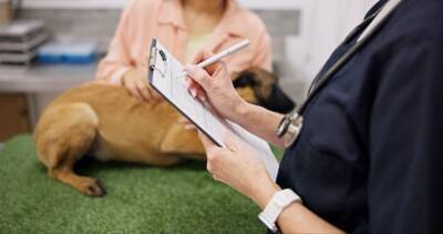 日本ではあまり見かけない『珍しい犬種』5選　どうやって迎えたらいいの？飼育の注意点まで解説