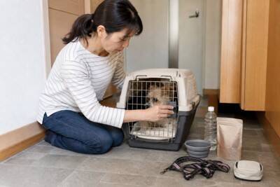 9月は防災月間！獣医師が教える、愛犬を守るための防災チェックポイント
