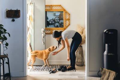 犬が『捨てられた』と勘違いしてしまう行動7選　愛犬を悲しませる絶対NG行為や不安にさせないために意識すべきことまで