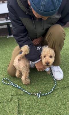 16日ぶりにお父さんが出張から帰宅→2匹の犬にサプライズをした結果…疲れも吹き飛ぶ『微笑ましい光景』が7万再生「最高」「泣ける」の声