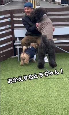 16日ぶりにお父さんが出張から帰宅→2匹の犬にサプライズをした結果…疲れも吹き飛ぶ『微笑ましい光景』が7万再生「最高」「泣ける」の声