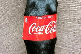 『コカ・コーラの瓶』かと思ったら…おもしろ可愛い『まさかの正体』がSNSで話題「コーラで間違いない」「1本ください！」と12万表示