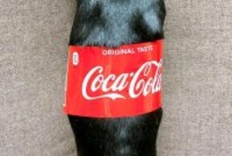 『コカ・コーラの瓶』かと思ったら…おもしろ可愛い『まさかの正体』がSNSで話題「コーラで間違いない」「1本ください！」と12万表示