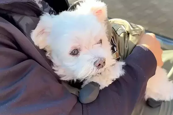 リハビリのため入院中のパパ→ママが『犬を連れて病院に会いに行った』結果…1ヶ月ぶりの『再会の瞬間』に思わず涙「すごく感動した」「強い絆」