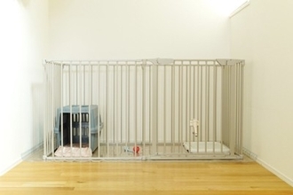 犬の『ケージ』絶対NGな置き場所4選　ストレスや体調不良の原因となる位置とは？