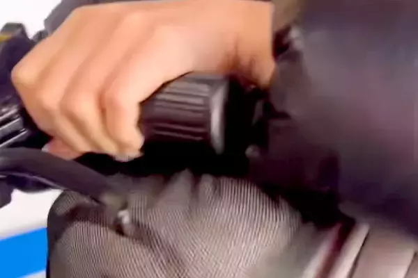 バッグの中で頭を押し付ける犬→網目から『表情』を見てみると…「顔面ストッキングで草」「破壊力ヤバいｗｗ」普段とは違いすぎる光景に爆笑続々