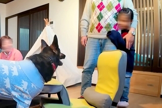 強面の大型犬を怖がる6歳の女の子→一緒に過ごすうちに距離が縮まり…あっという間に大親友になる光景が18万再生「みんな優しい」「ほっこり」