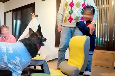 強面の大型犬を怖がる6歳の女の子→一緒に過ごすうちに距離が縮まり…あっという間に大親友になる光景が18万再生「みんな優しい」「ほっこり」