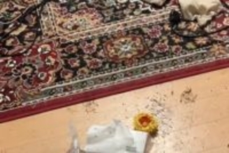 夜、DIYをしていた女性→大型犬から少し目を離した結果…あまりにも絶望的すぎる『衝撃の状況』が518万再生「逃げる範囲せまくて草」と反響