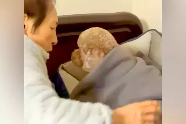 どうしてもおばあちゃんの近くで寝たい犬→『あんたは別の所で寝るの！』と移動させられ…愛おしい結末が73万再生「不満な顔ｗ」「可愛すぎる」