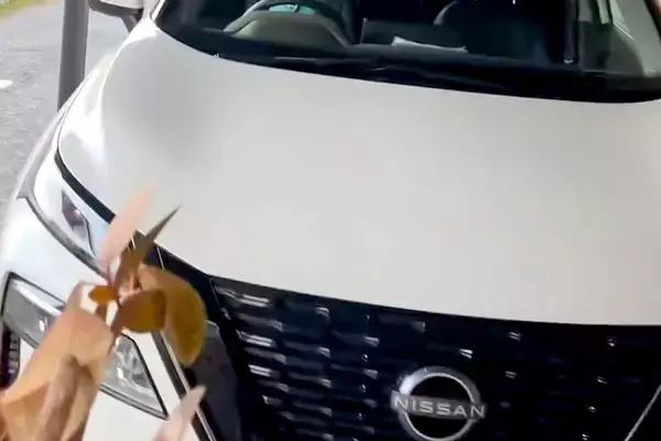 『車で待っててね』と大型犬に伝え、用事を済ませて戻った結果…衝撃的な光景が120万再生「完全に人ｗｗ」「第二種免許持ってる面構えで草」