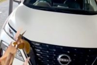 『車で待っててね』と大型犬に伝え、用事を済ませて戻った結果…衝撃的な光景が120万再生「完全に人ｗｗ」「第二種免許持ってる面構えで草」