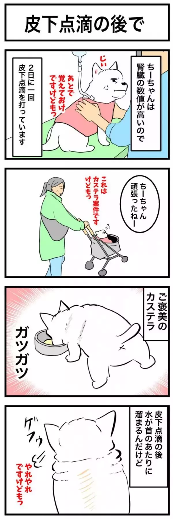 ちーちゃんですけどもっ【第357話】「皮下点滴の後で」