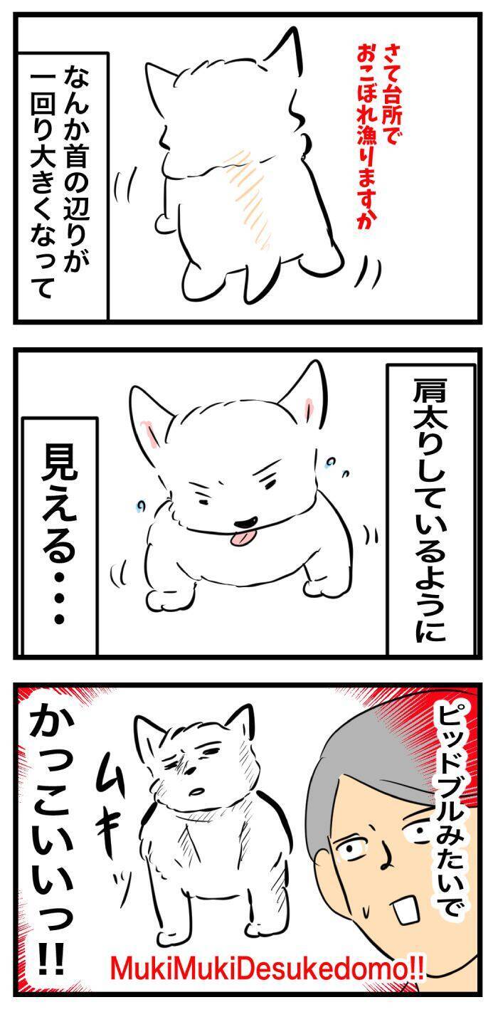 ちーちゃんですけどもっ【第357話】「皮下点滴の後で」