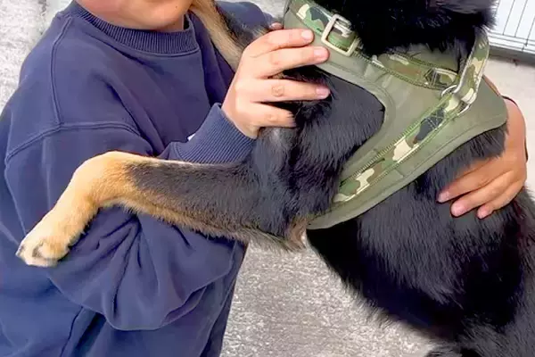 犬の譲渡会で『人を怖がるワンコ』を発見→息子が『この子をお迎えしたい』と言って…涙あふれる『ふたりの記録』に感動「なんて素敵な笑顔」