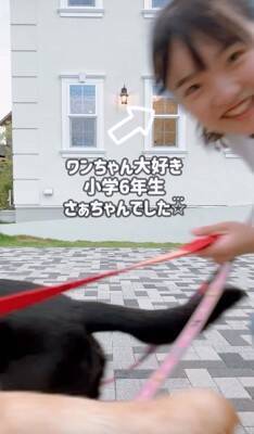 小学6年生の女の子が『大型犬3匹を引き連れていて危ない』と思ったら…心配無用な『まさかの理由』が素敵すぎると6万再生「落ち着いてて凄い」