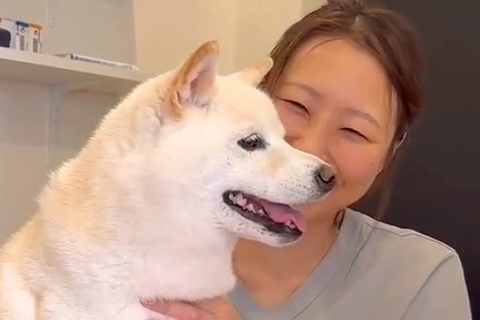 動物病院の先生のことが大好きな犬→治療が始まると…ワガママが爆発してしまう光景が123万再生「会話成立してて草」「中に人が入ってる？ｗ」